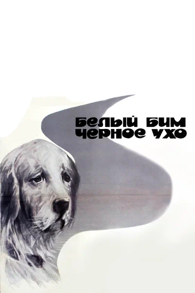 Постер: Белый Бим Черное ухо